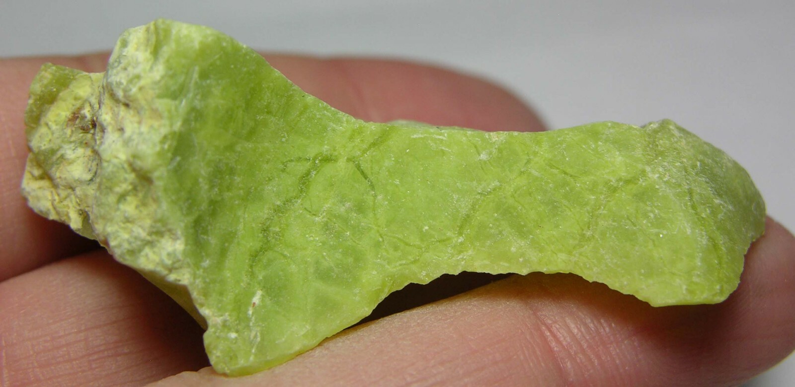 #11 Madagascar 67.70ct 100% Natural Raw Rough Green Opal Specimen 13.50g 51.00mm