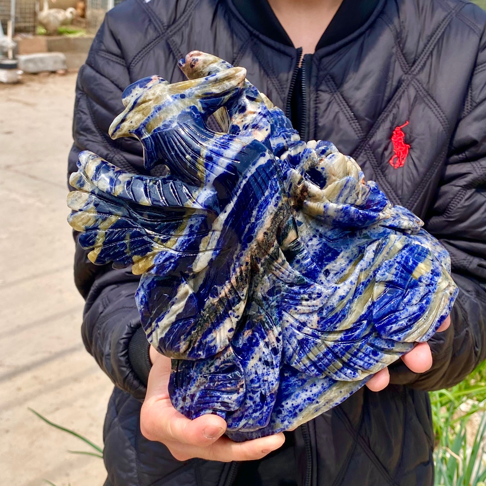 6.6LB Natural Blue Lace Agate Hand Carved Phoenix Figurine Gemstone Decor