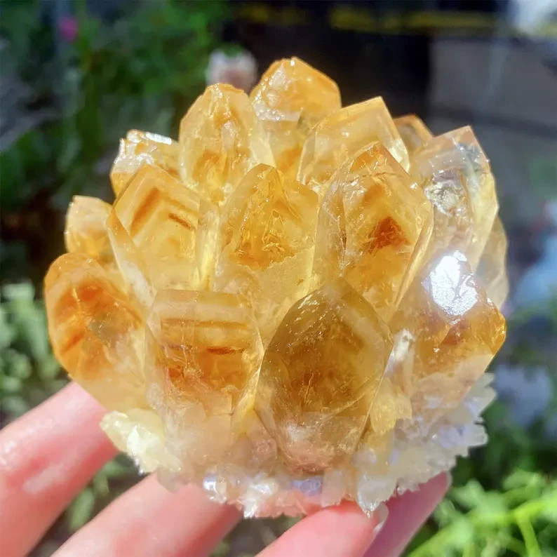1pc Rare Citrine Quartz Cluster Healing Health Wealth Crystal Specimen Ornament