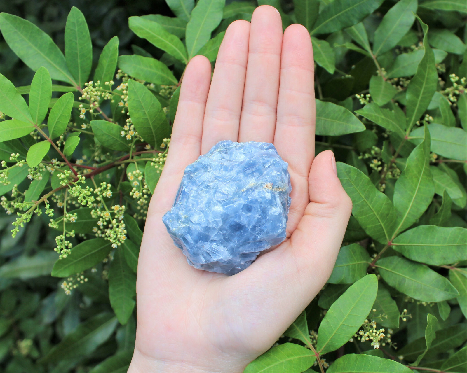 LARGE Rough Blue Calcite Natural Chunk, 2″ – 3″ (Raw Calcite, Crystal Healing)