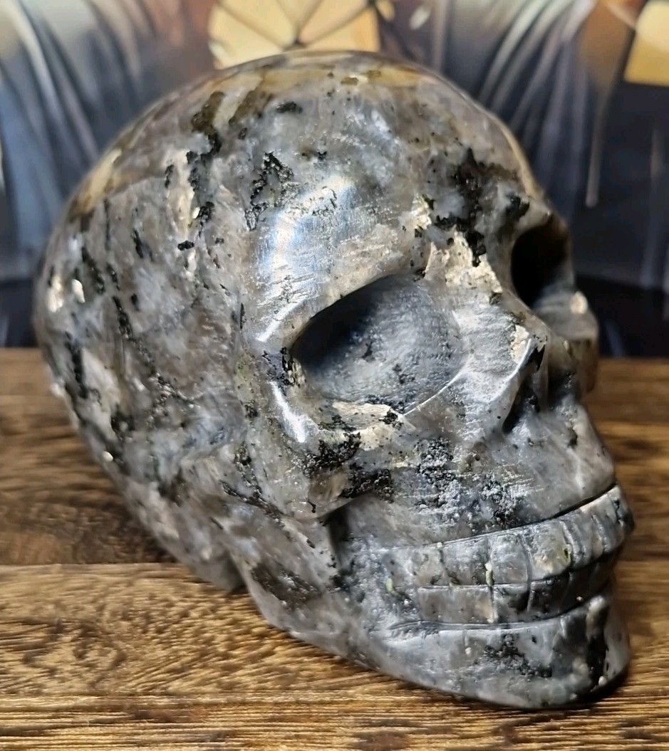 Lush Larvikite Aka Black Lab Crystal Human Skull 95x72mm 618g