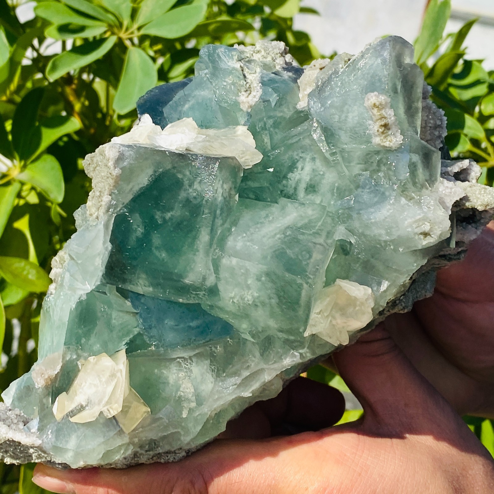1706g Natural transparent blue green fluorite mineral crystal sample/China