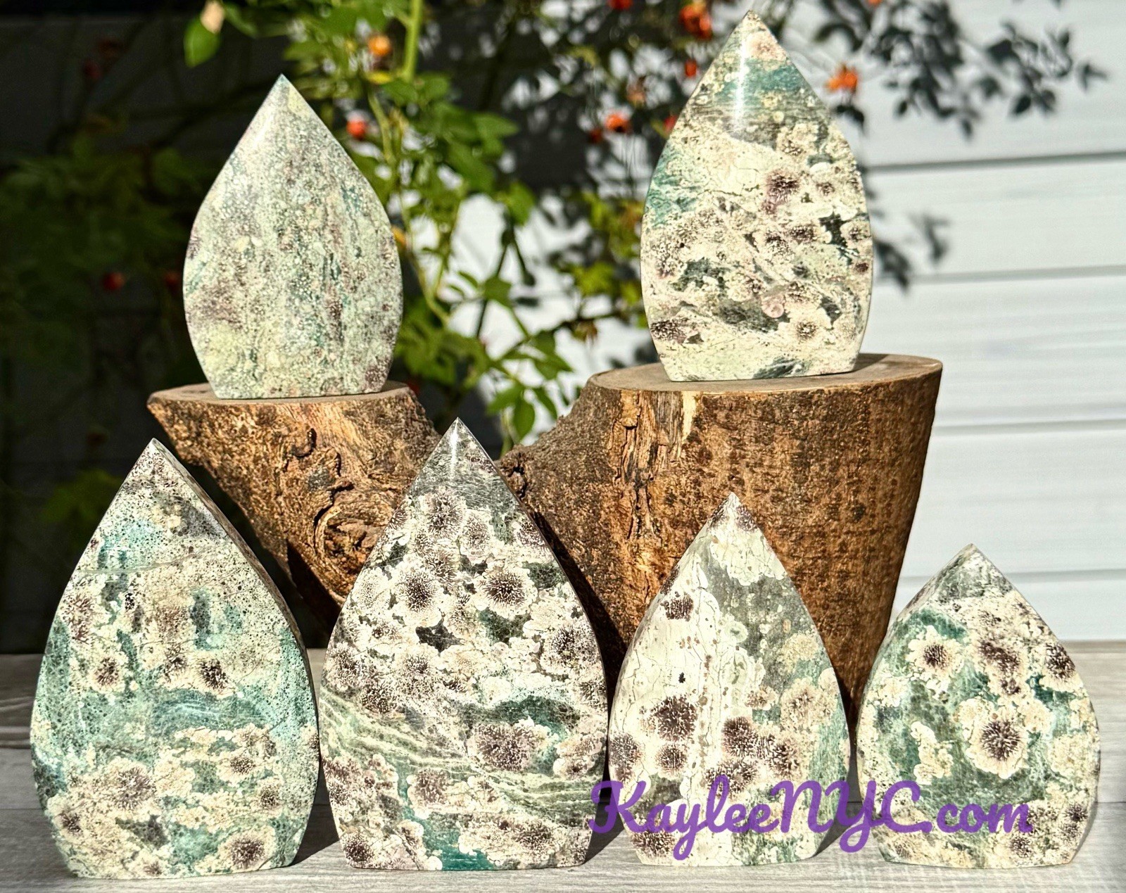 Wholesale Lot 6-7 PCs Natural Green Flower Jasper Freeform Crystal