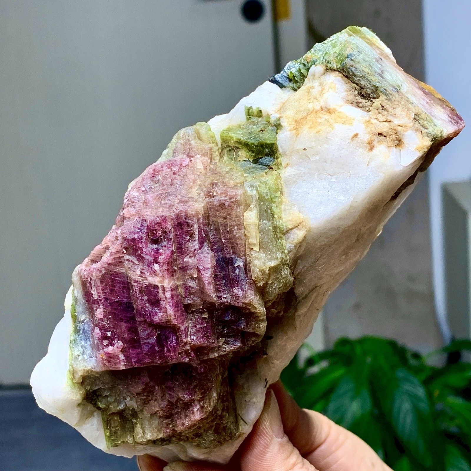 2.81LB Natural Two tone watermelon tourmaline crystal cluster mineral specimen
