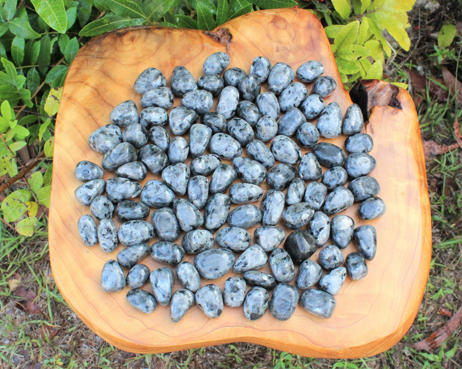4 oz Larvikite Tumbled Stones: ‘A’ Grade Natural Polished Crystals 1/4 lb Bulk