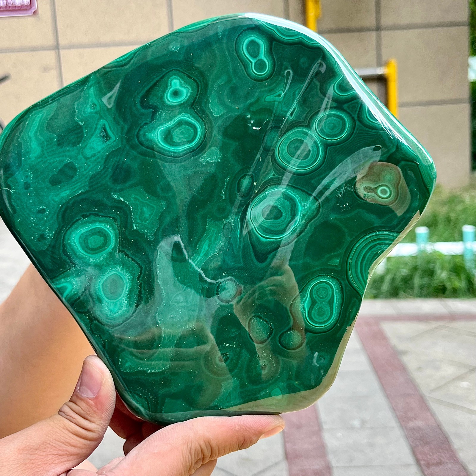 3.9 lb Authentic Malachite Stone Half Polish Half Raw Natural Patterns