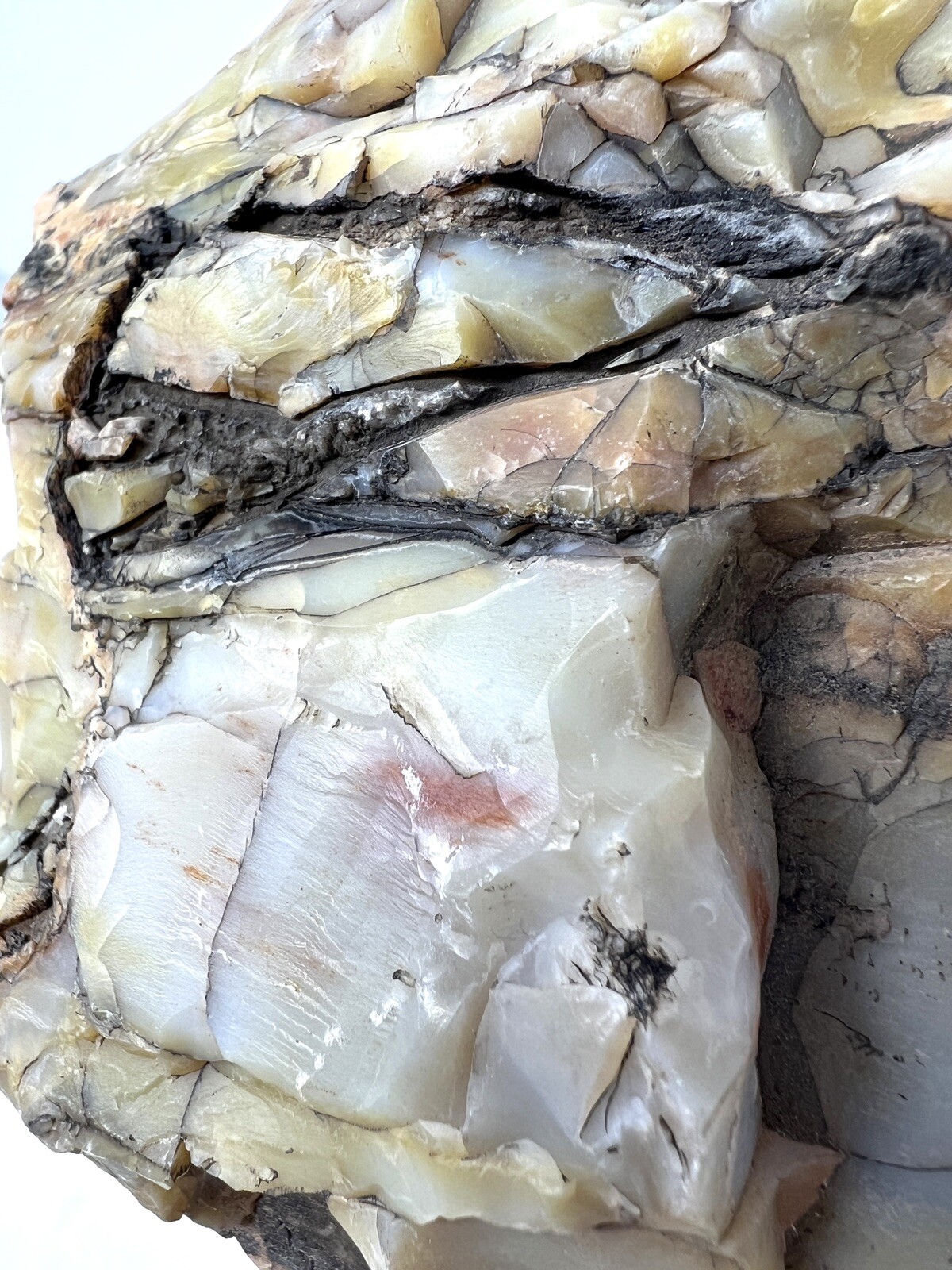 Loose Natural Stone – United States: Petrified Wood 3lb Raw/Natural