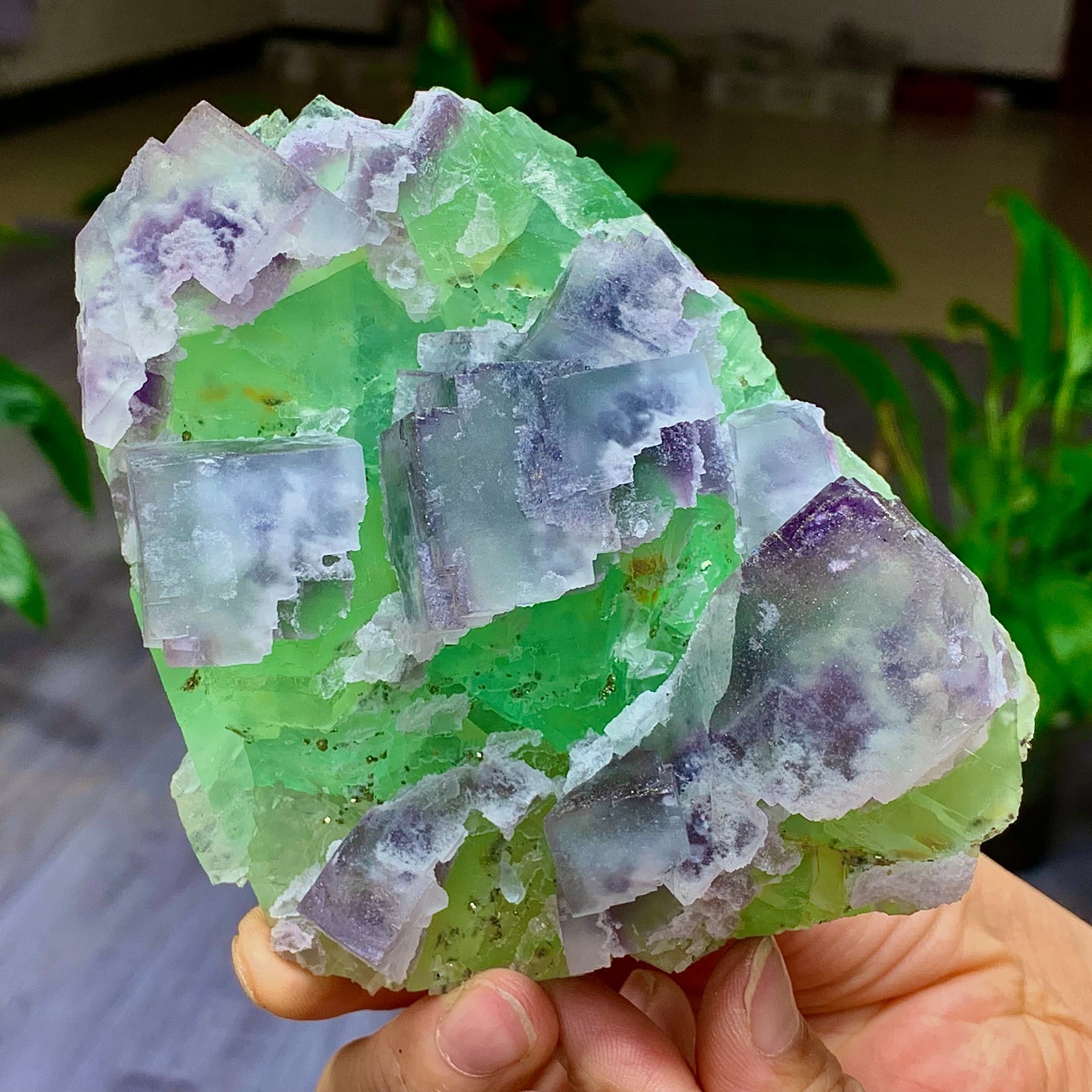 1.7LB Rare transparent green purple cubic Zhejiang fluorite mineral sample