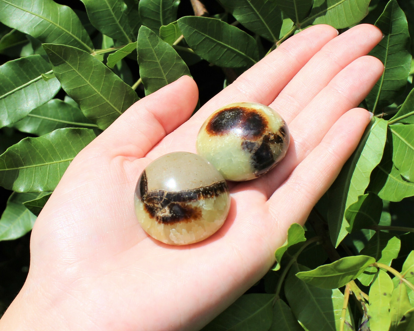 Septarian Hand Polished Palm Stone: ‘A’ Grade Septarian Pebble, Crystal