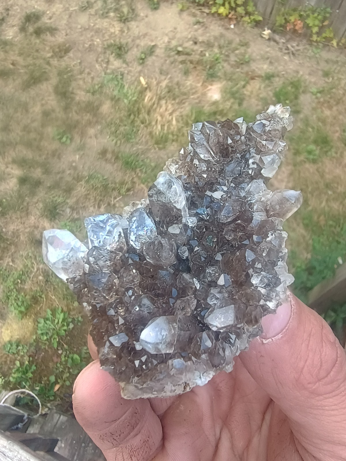 Herkimer 💎Perchers On 🖤 Smokey Druze Plate (Rare Piece) Miner Direct ⚒️