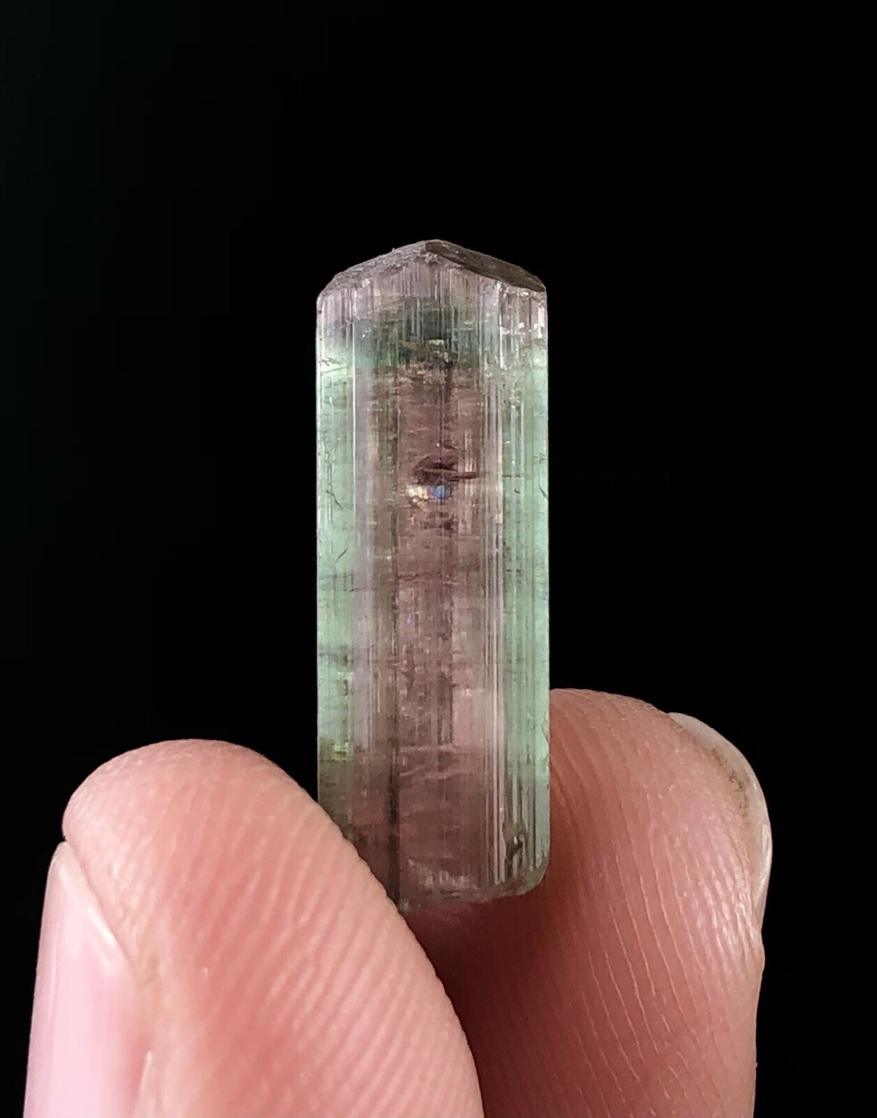 An Amazing Multi Colour TerminatedTourmaline Crystal From Paprok Mine.