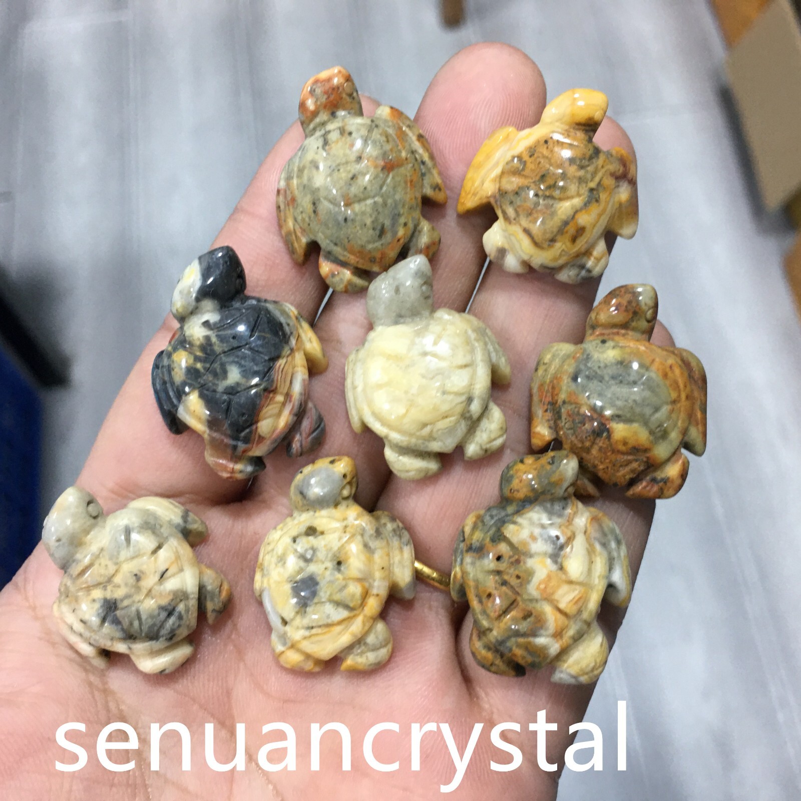 5pcs Natural Crazy agate quartz Crystal Sea turtle Carved Skull Healing random