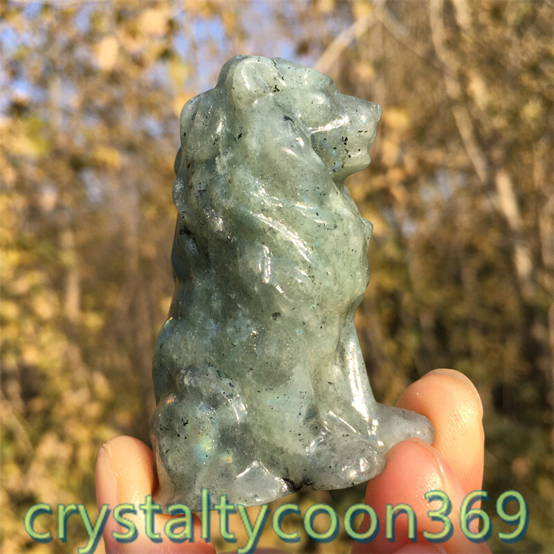 2″+ Natural Labradorite Quartz Carved Lion Crystal Gift Skull Reiki Healing 1pc