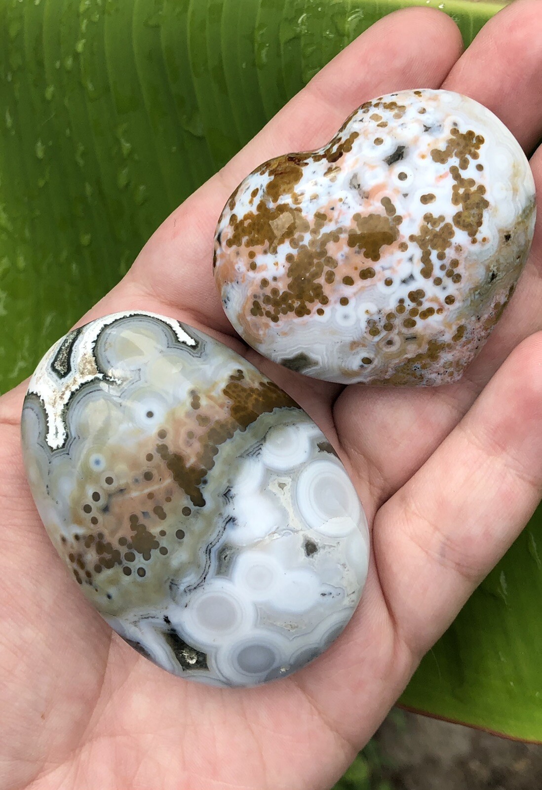 high quality blue orb 8th vein ocean jasper palmstone large size