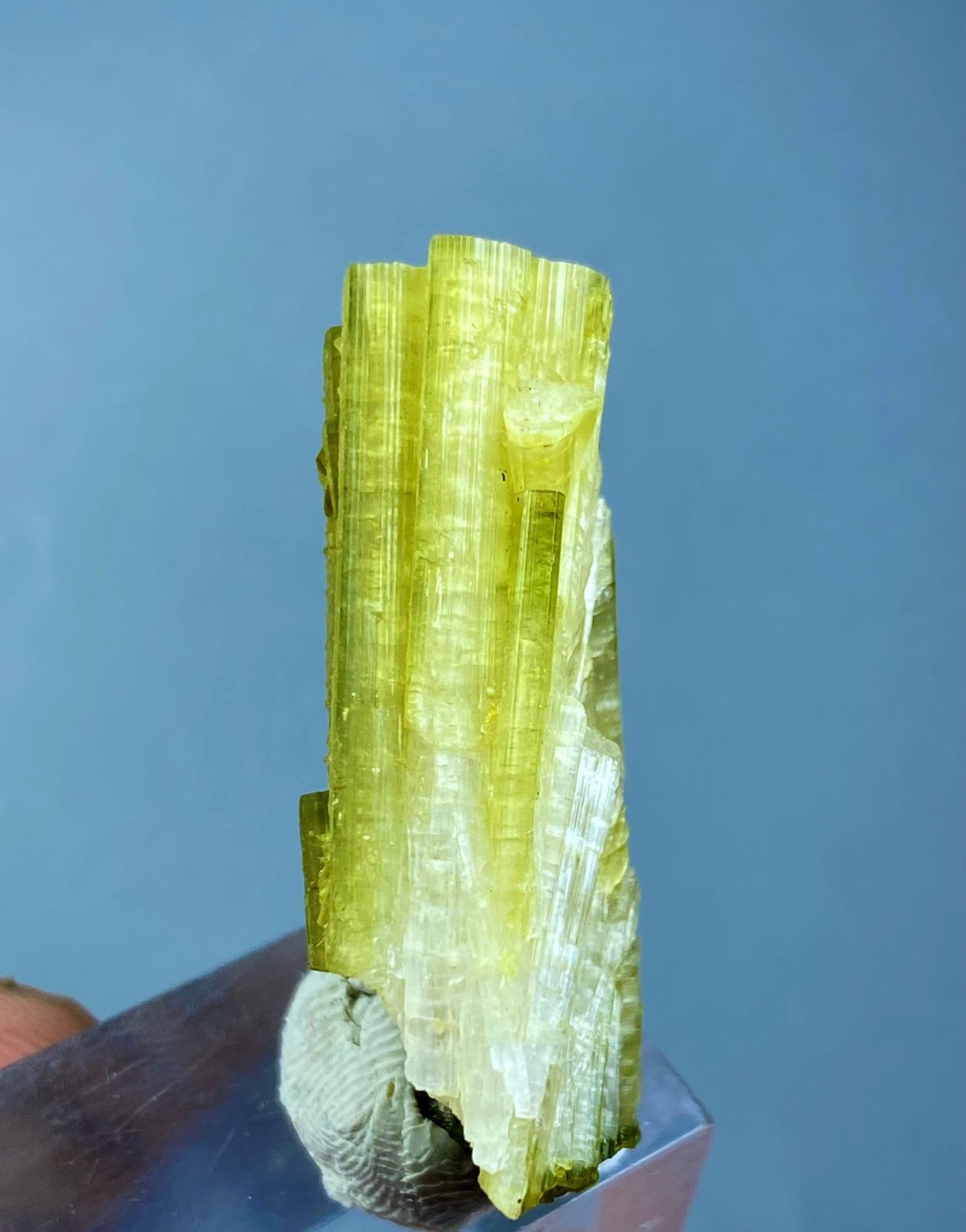Natural Tourmaline Crystal Specimen Afghanistan 71 Carats