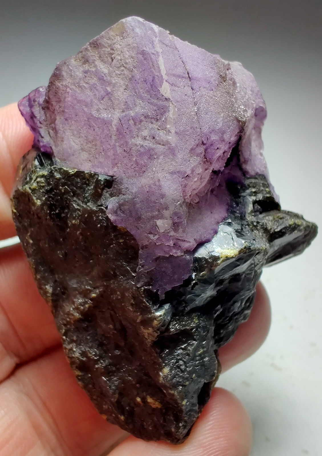 Fluorite on Sphalerite, fluorescent. Elmwood Mine, Tennesee. 87 grams.