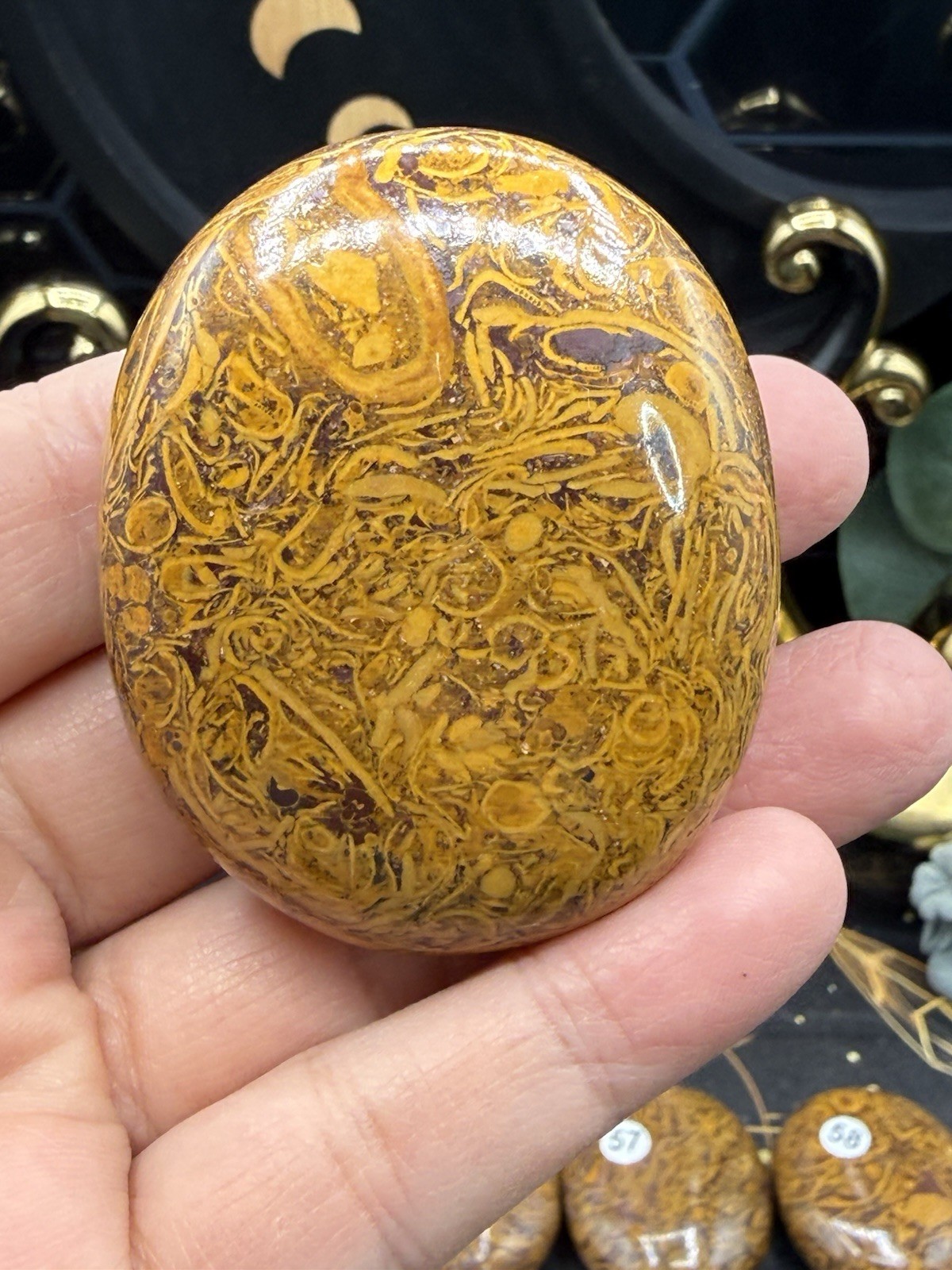 Natural Lg Calligraphy Stone Miriam fossilized shells, hematite, iron Free ship