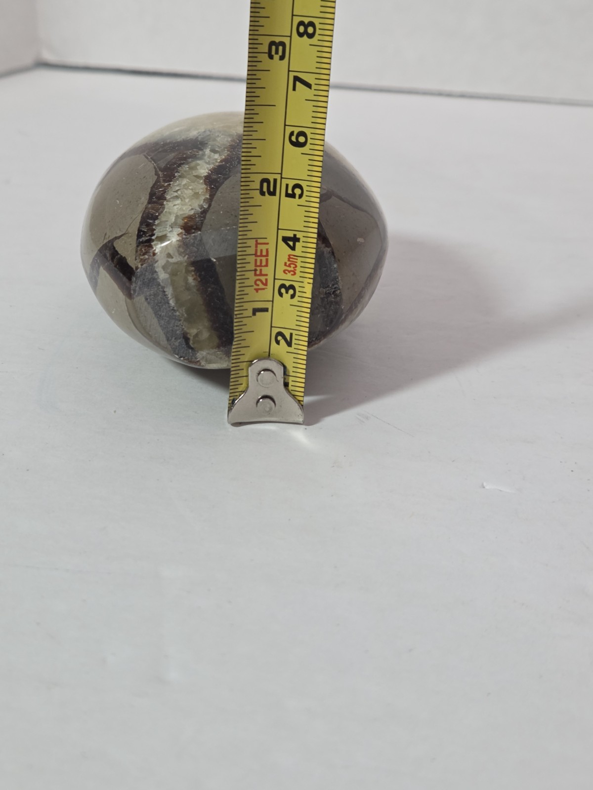 Septarian Polished Egg Prime Specimen Crystal Stone Mineral 8.61 Grams