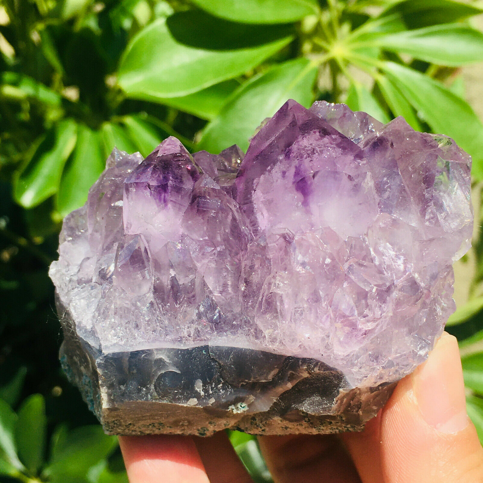 306g Natural Amethyst Geode Quartz Cluster Crystal Specimen Healing, Madagascar