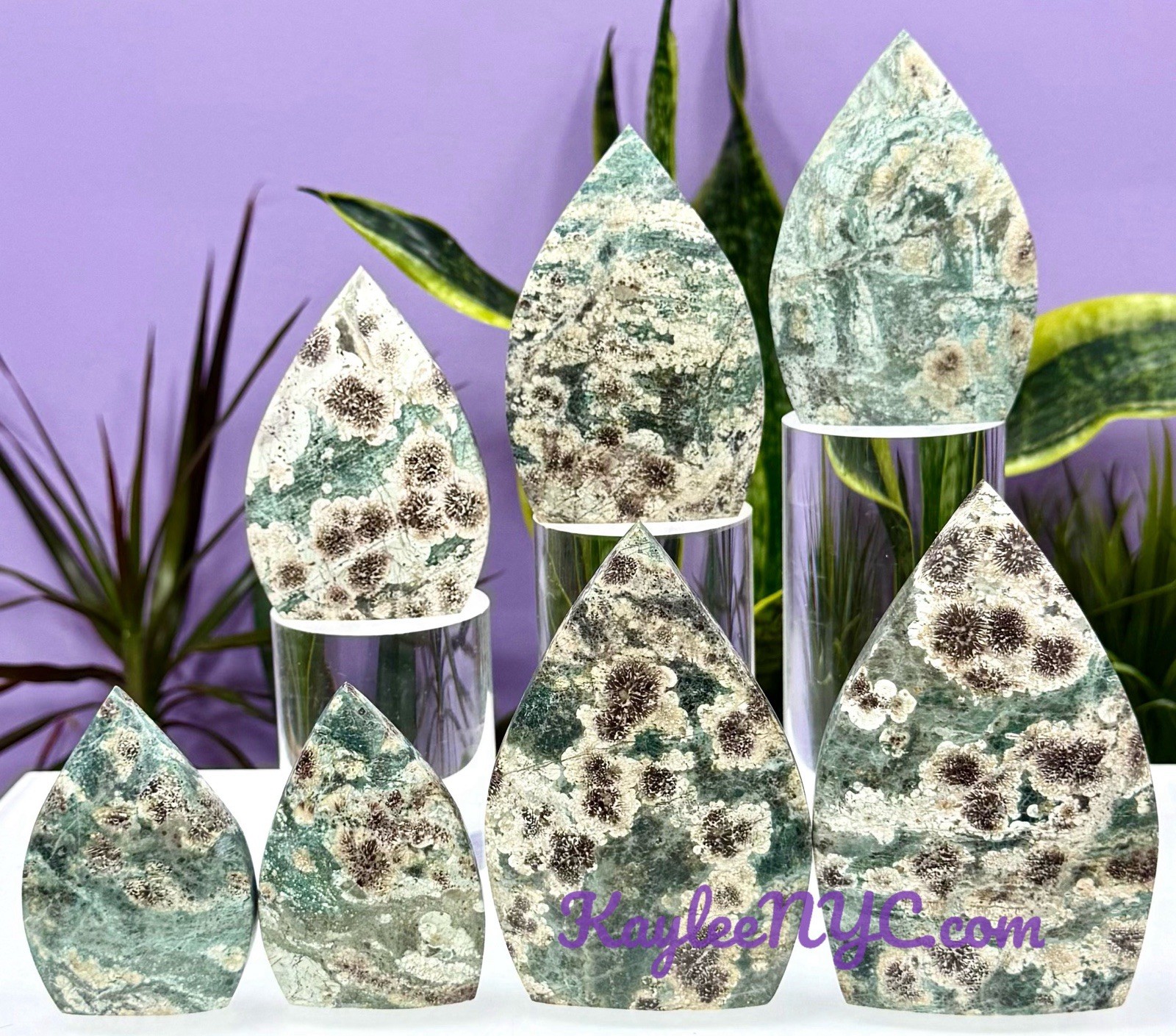 Wholesale Lot 6-7 PCs Natural Green Flower Jasper Freeform Crystal