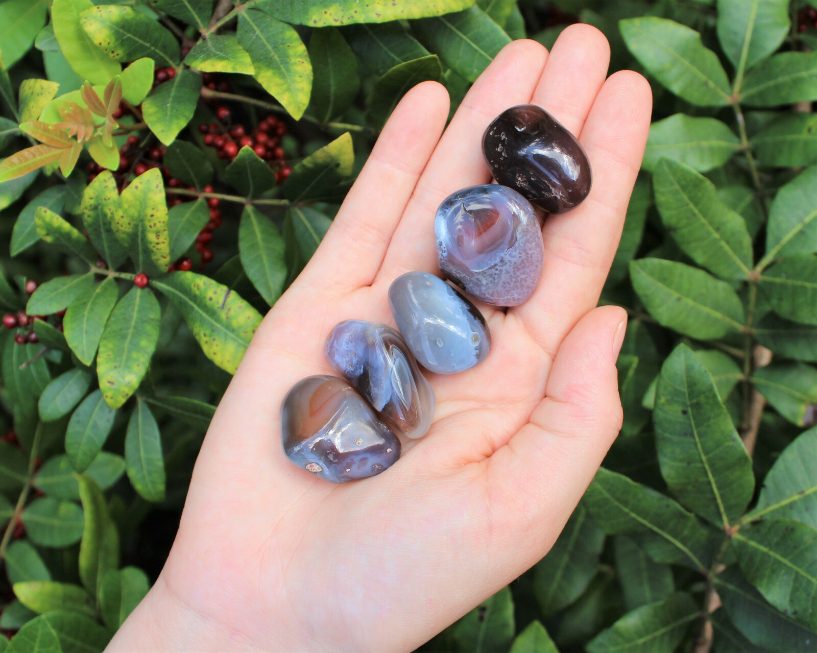 2 oz Lot Botswana Grey Agate Tumbled Stone Crystal Healing Gemstone