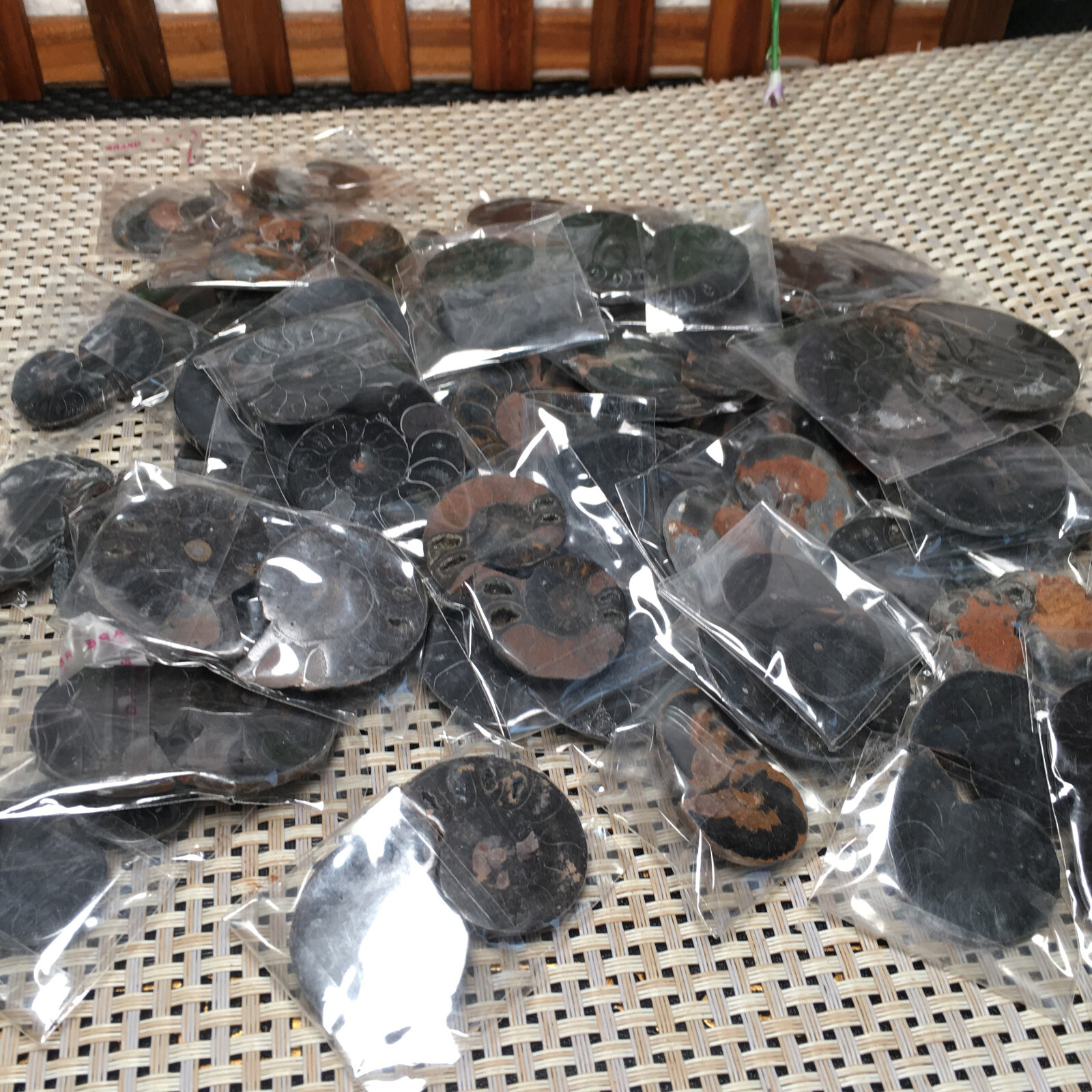 20 Pairs Black Ammonite Shell Specimen Madagascar