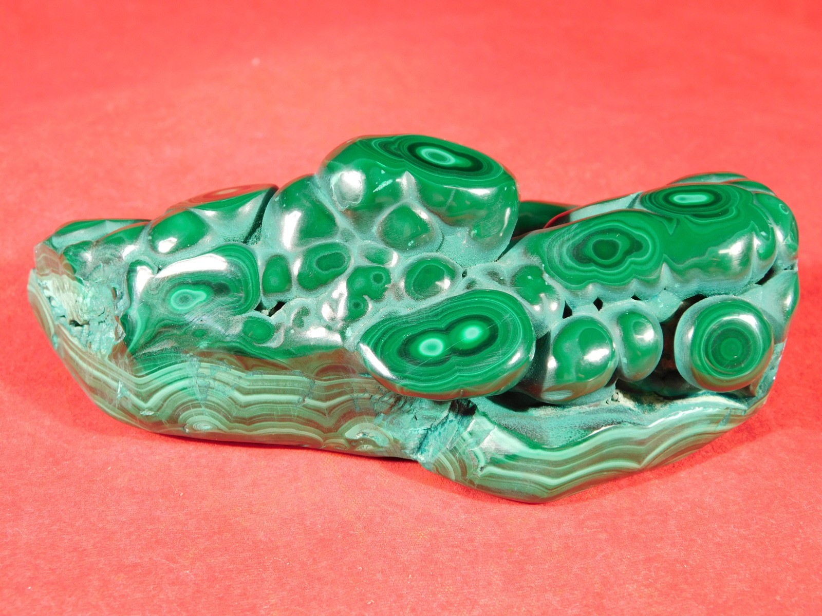 BIG! Polished Deep GREEN Malachite STALACTITE or Stalagmite From the Congo 393gr