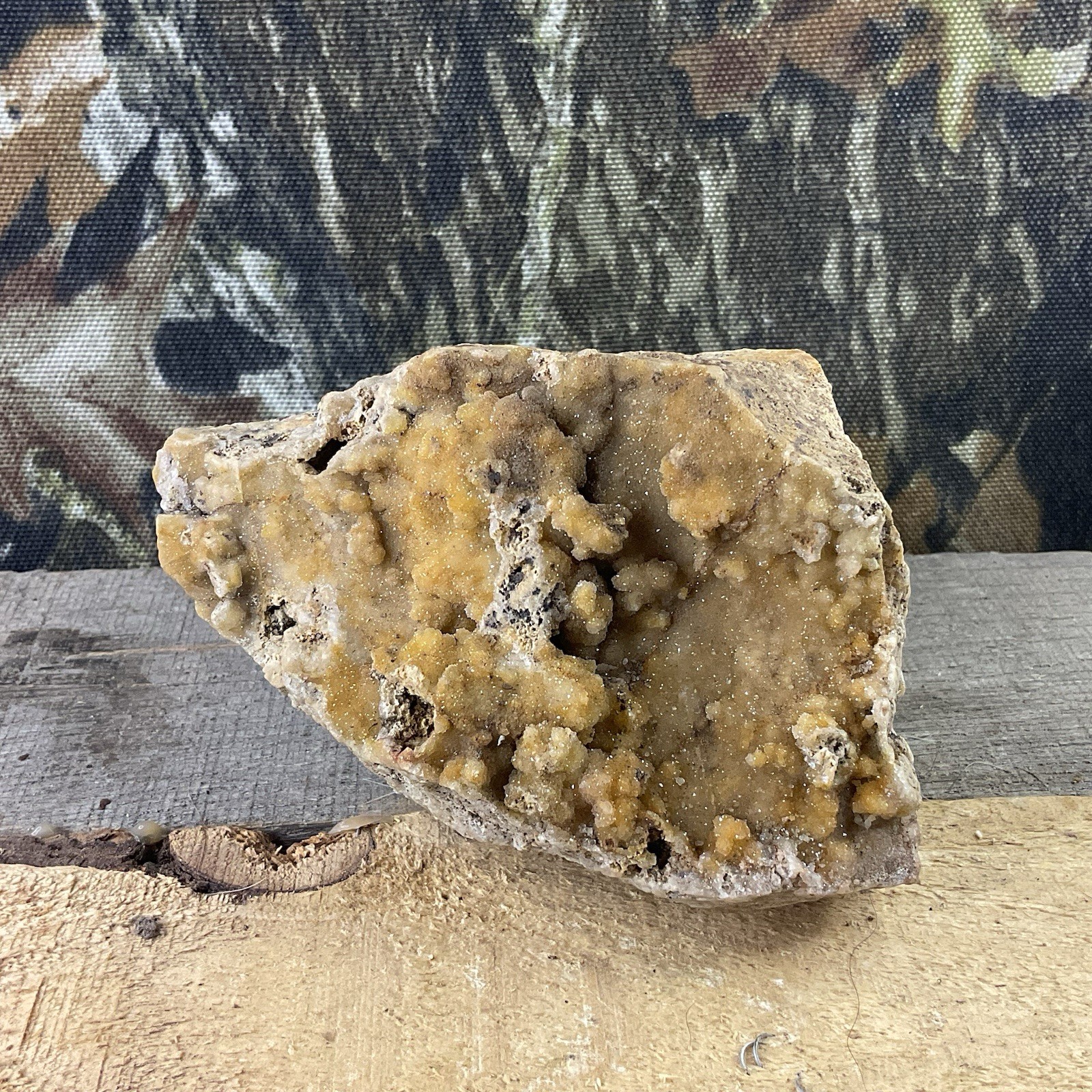 Missouri Fossilized Coral Druzy Quartz Natural Terrarium