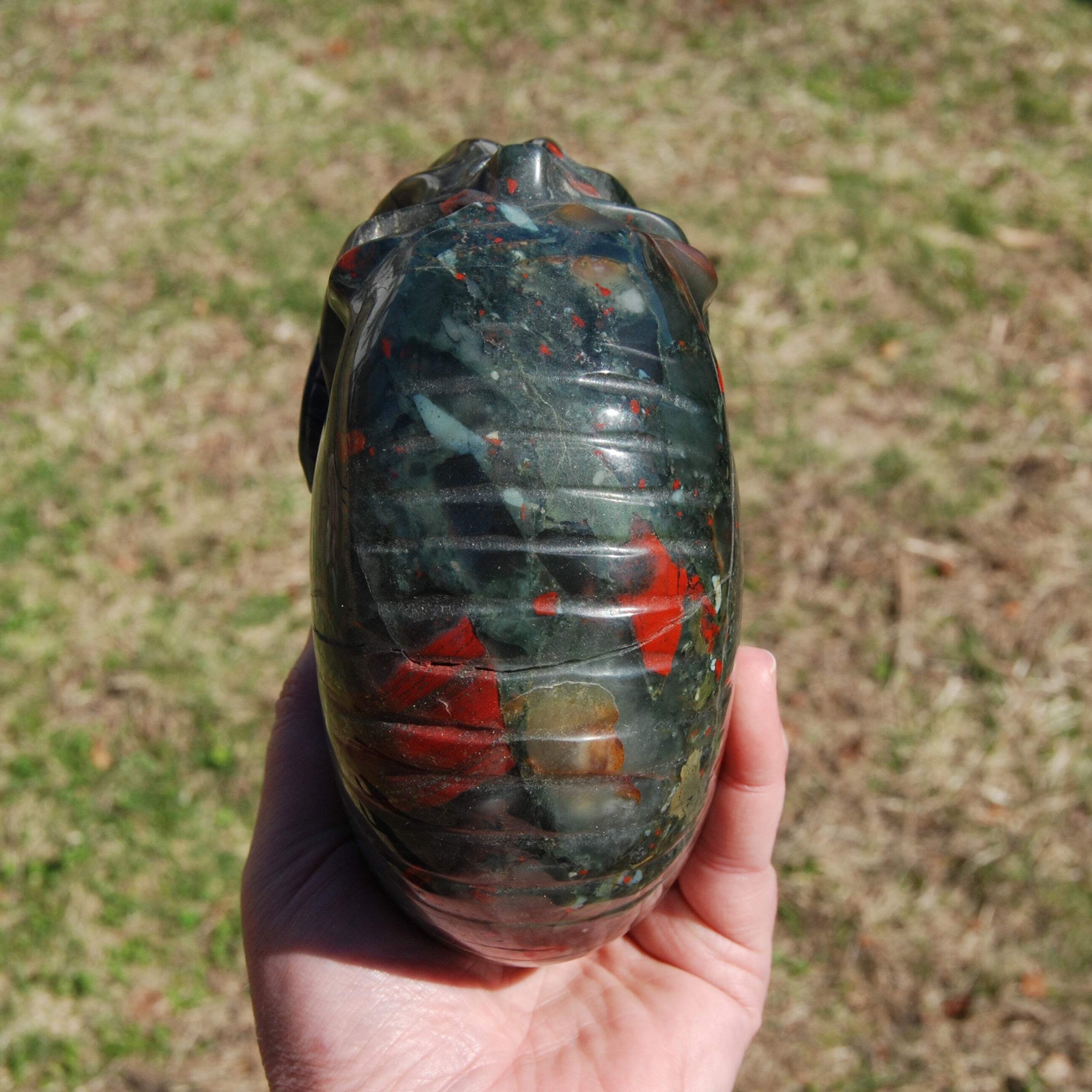 6in 4.2LB HUGE African Bloodstone Crystal Nautilus Octopus Skull