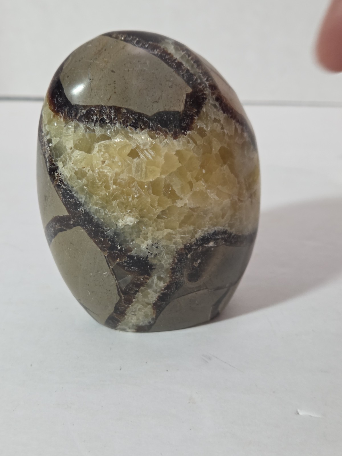 Septarian Polished Egg Prime Specimen Crystal Stone Mineral 8.61 Grams