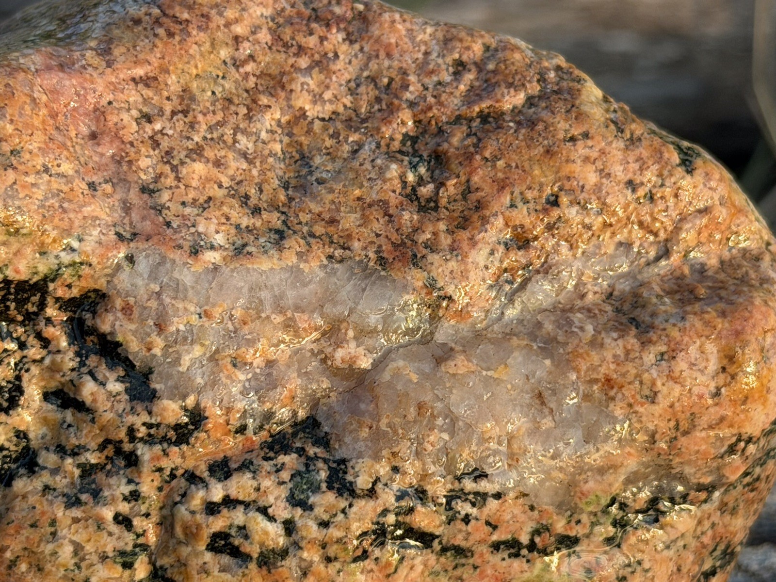 Natural Lake Michigan Rock Granite With Quartz LOOK! 👀 2lb+ READ CAREFULLY