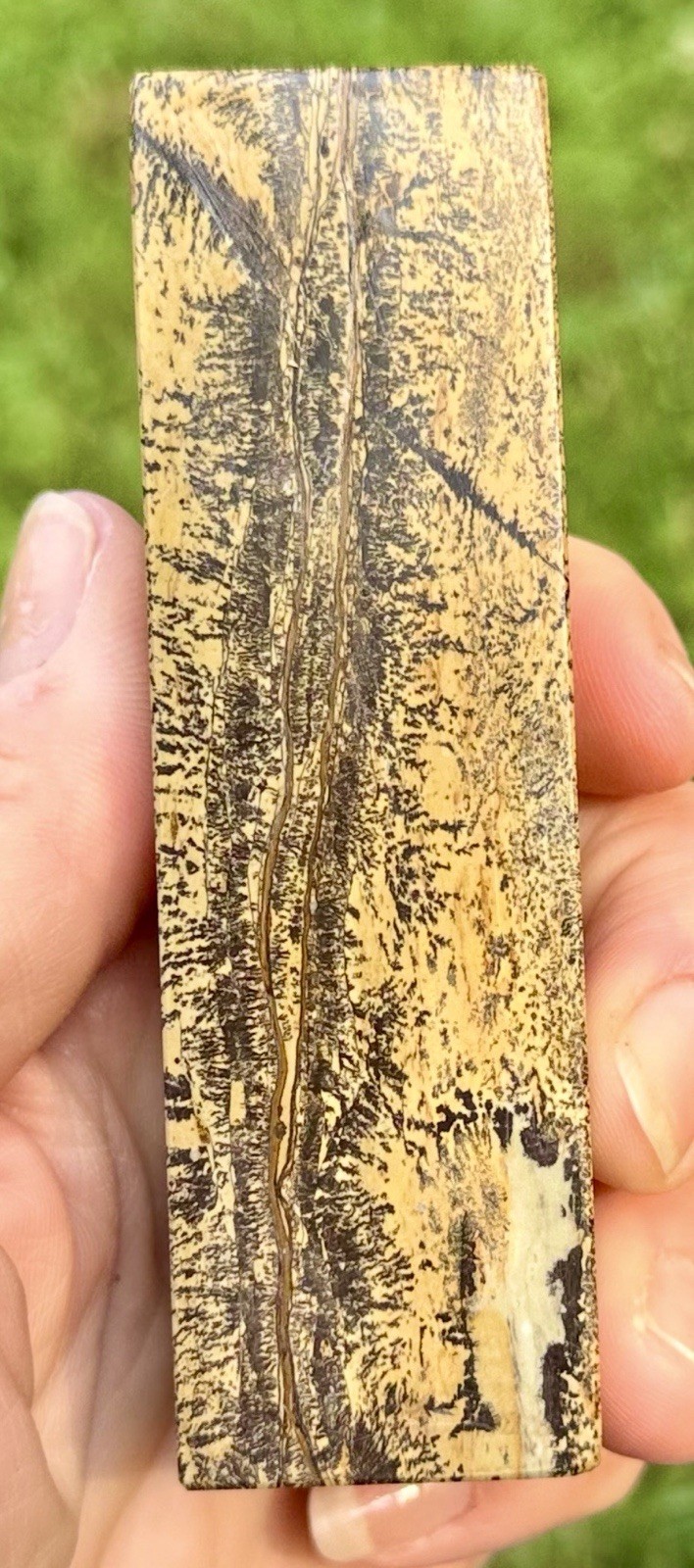 Picture Jasper Column 227g