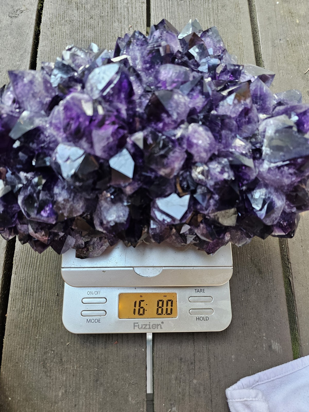 Rare Feng Shui Dragon Turtle with Large Amethyst Cluster