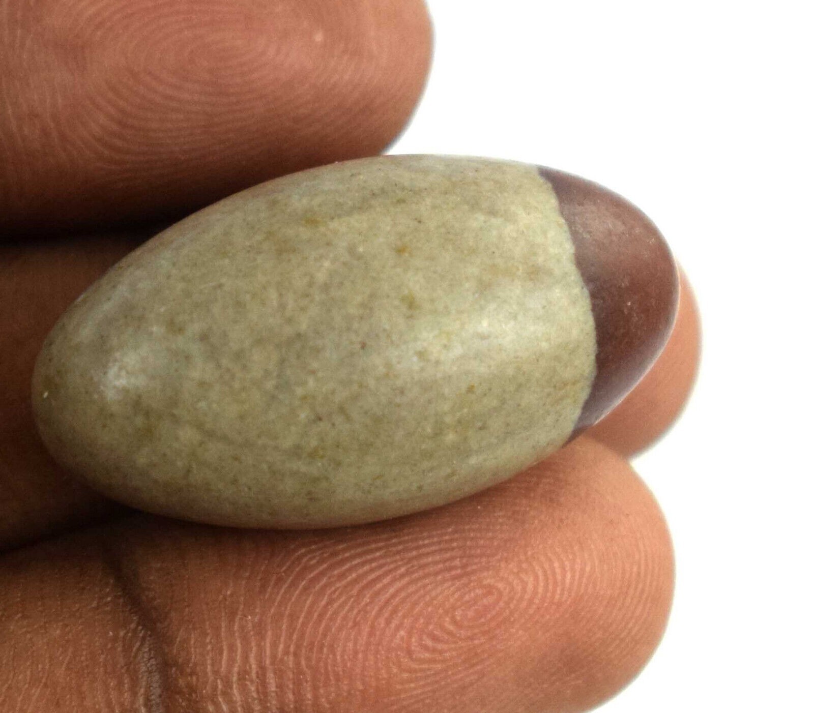 Shiva Lingam Natural Holy Healing Stone 11 Gram/1.22″ Perfect For Meditation