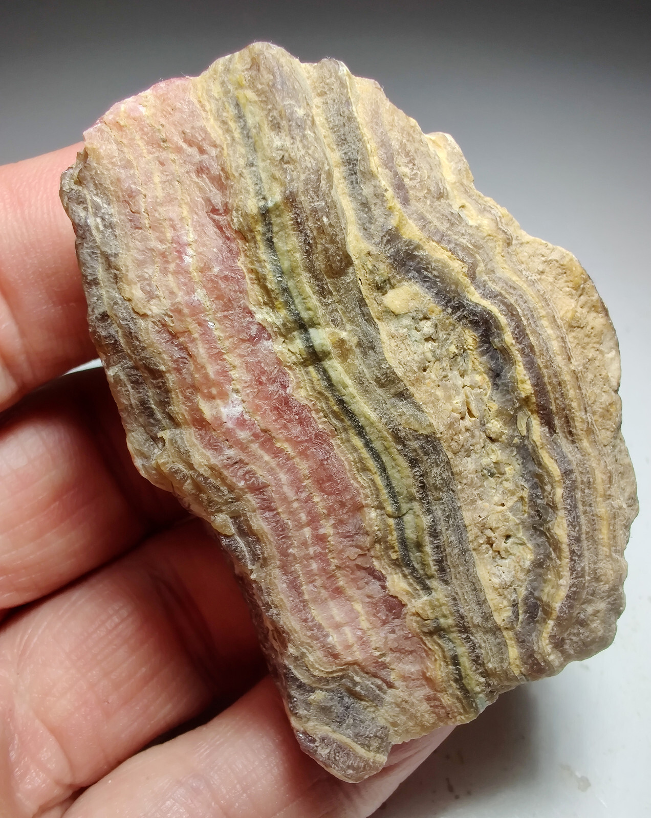 Rhodochrosite, banded layers. Capillitas, Argentina. 141 grams.