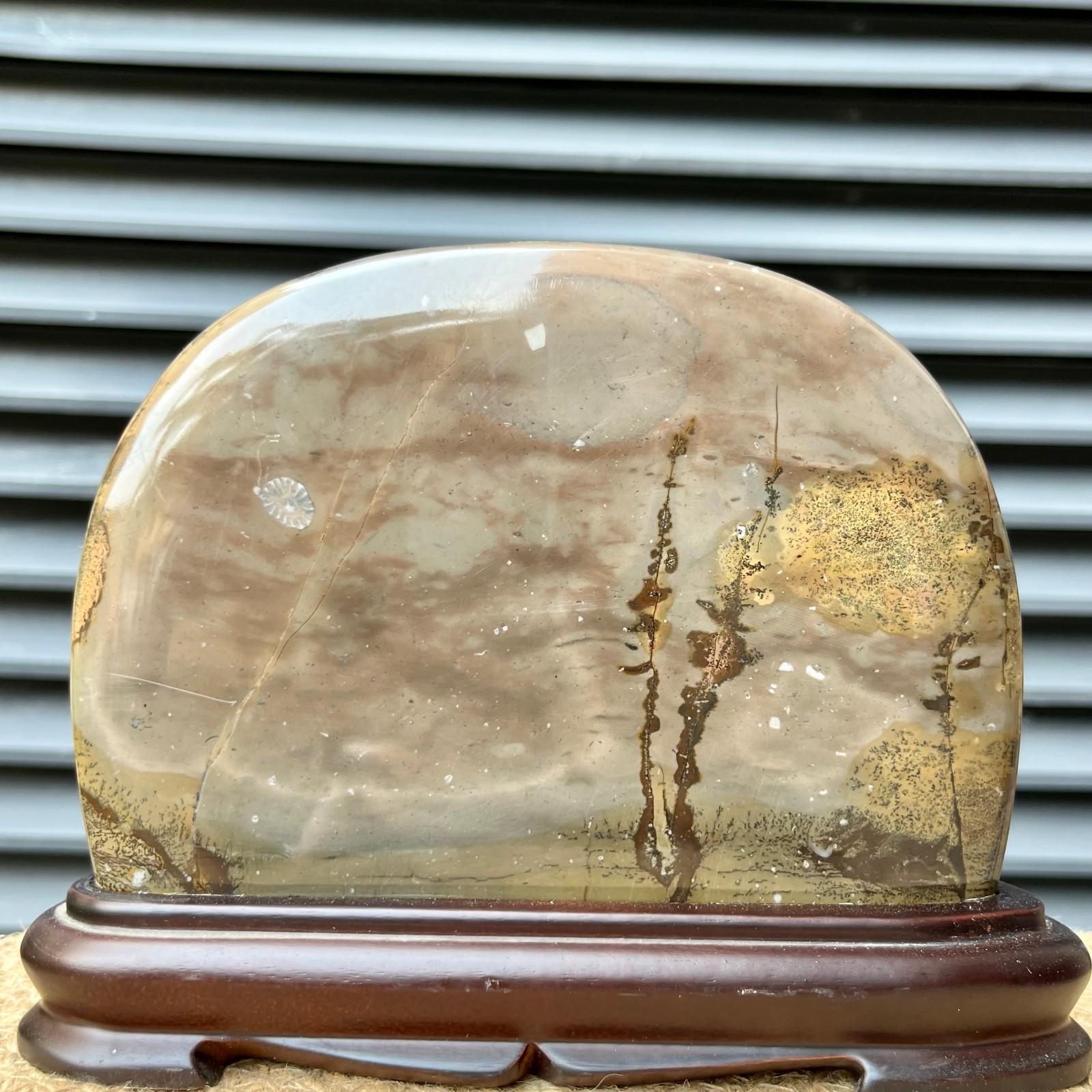 Natural Stone Display Polished Scenic Pattern Art w/ Stand 5.8 lb