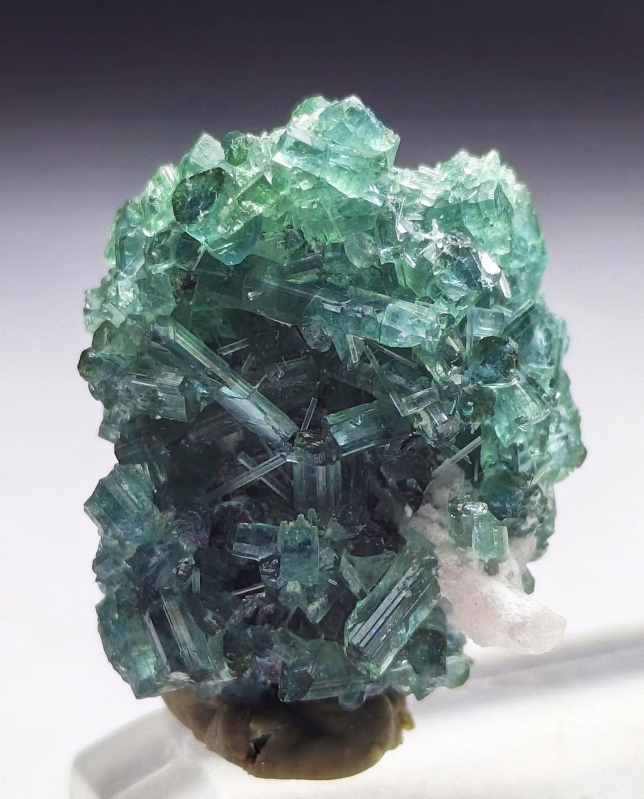 Natural Bluesh Tourmaline Crystal Cluster | Collector Mineral Specimen