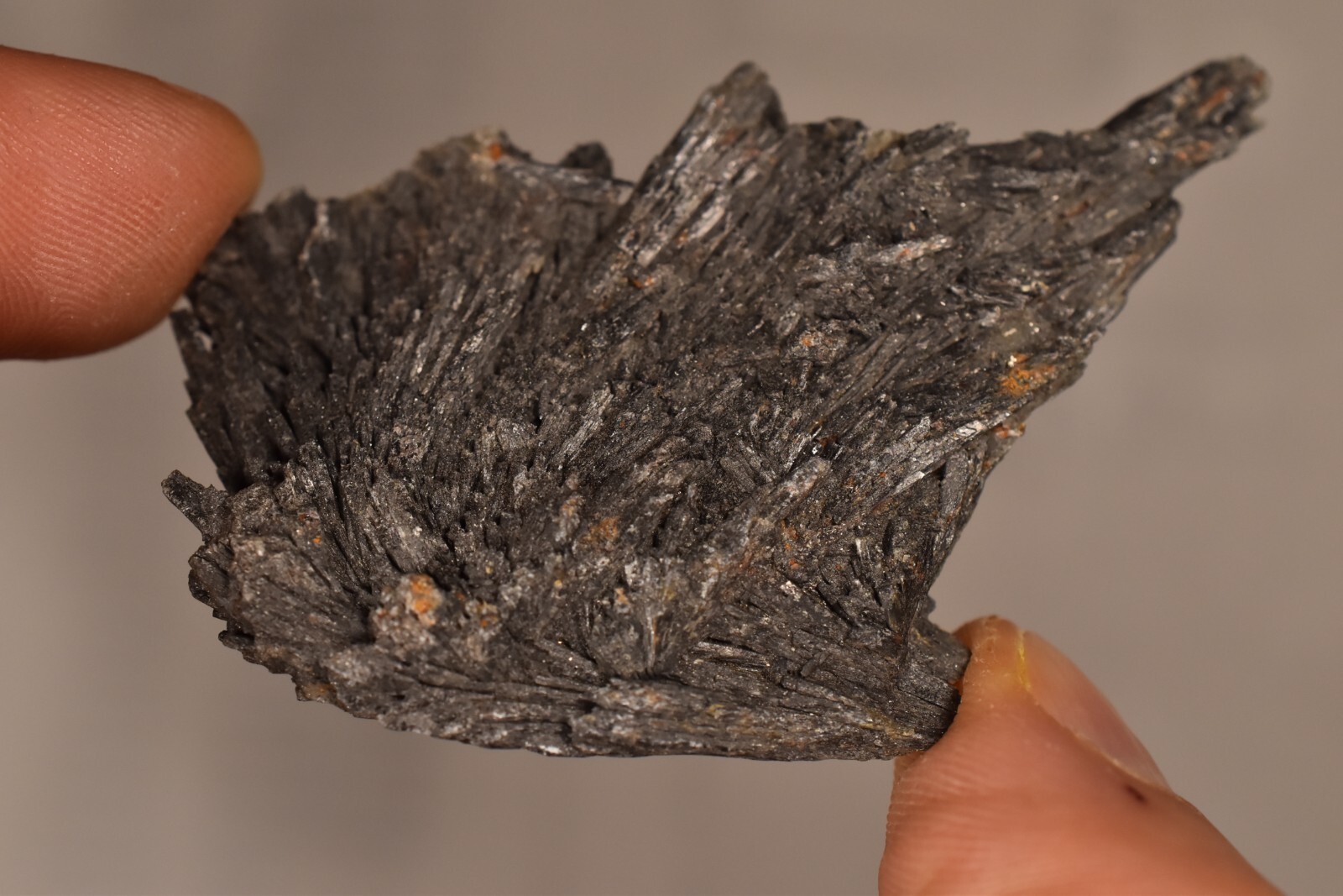 *BLACK KYANITE* CRYSTAL 6.8cm 24g Natural Specimen Healing Grounding Energizing