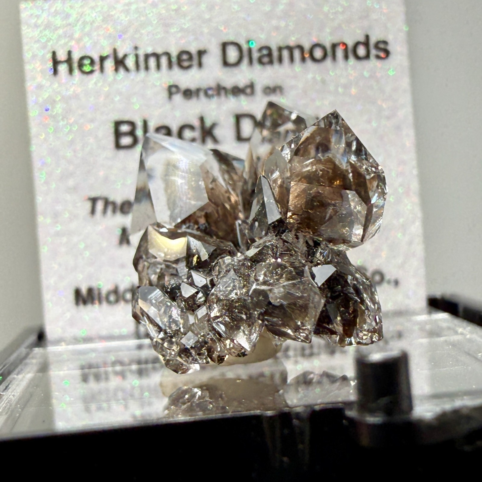 Herkimer Diamond Gems Perched on Druzy Matrix, Complete Floater, Top Shelf Piece