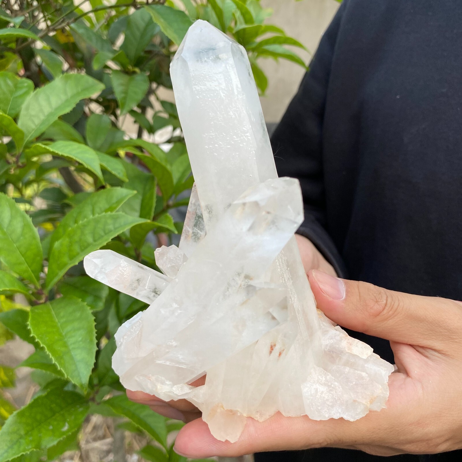 1.1lb Natural Clear White quart Crystal Cluster Raw Healing Specimen