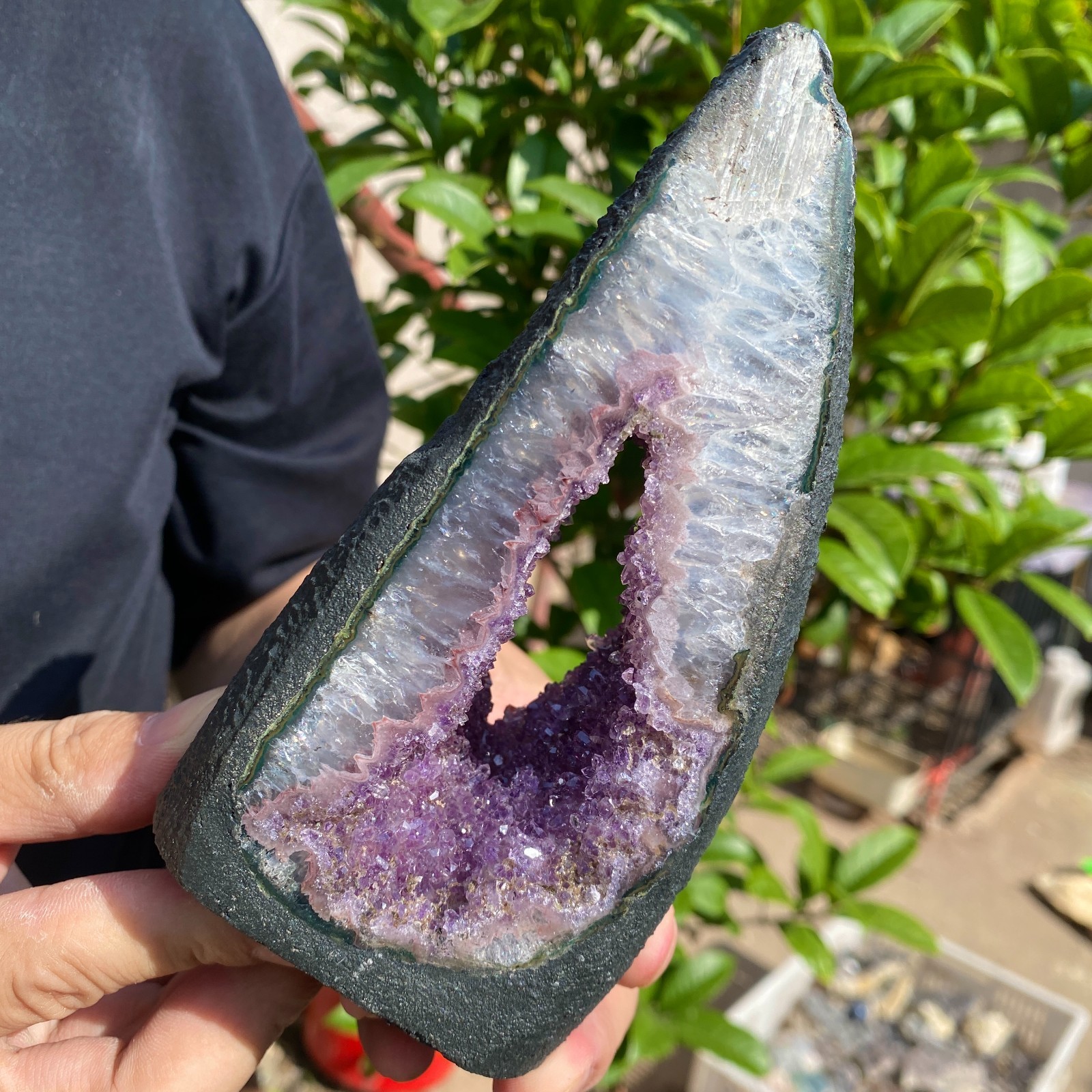 730G Natural Amethyst geode quartz cluster crystal specimen Healing