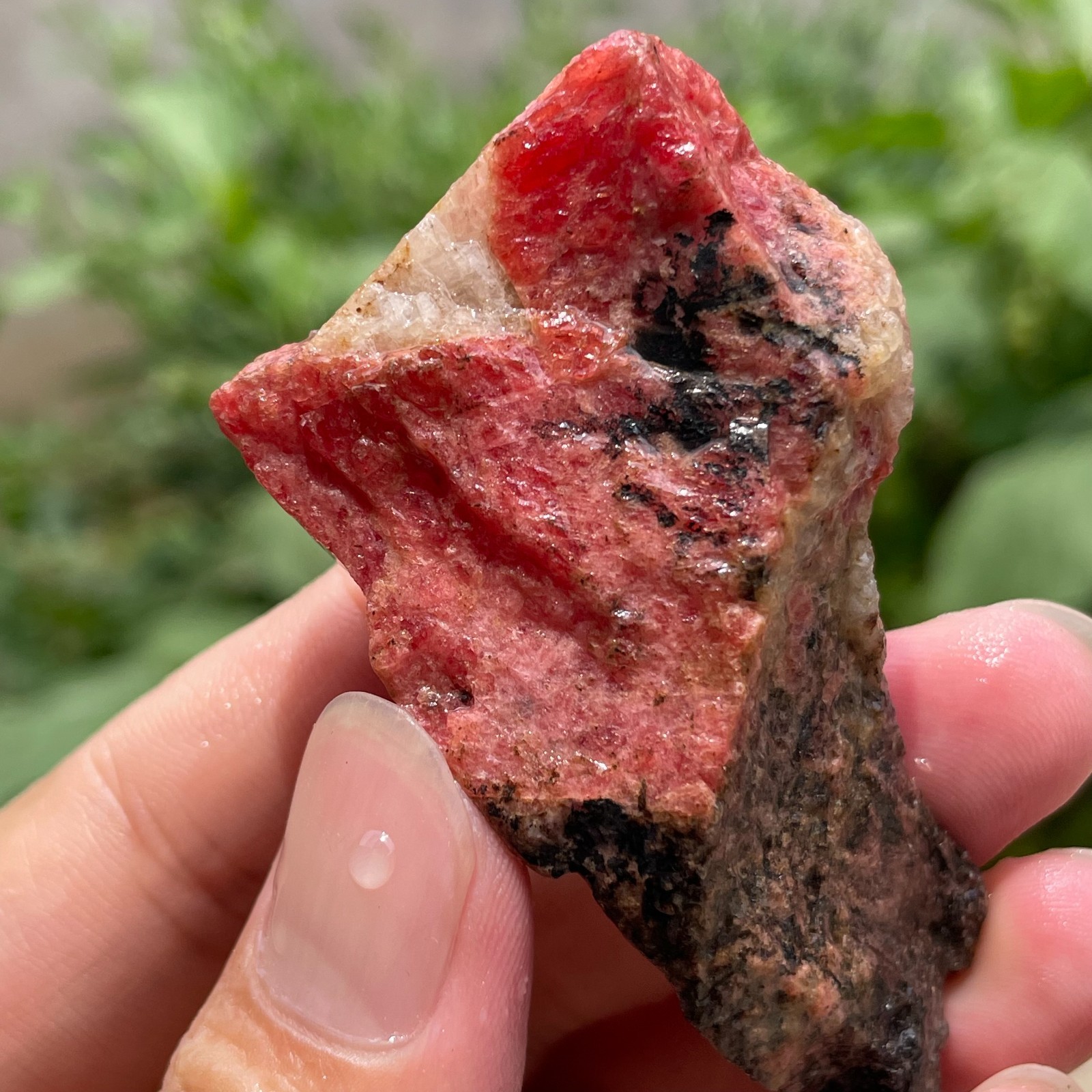 69g Small Raw Ore Red Black Rhodonite Quartz Gemstone Mineral Specimen