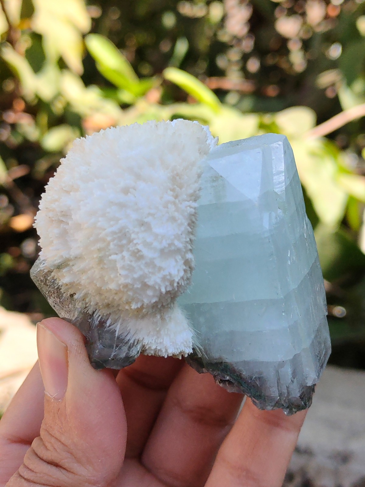 Thomsonite ball with Green Apophyllite, Natural Mineral Specimen