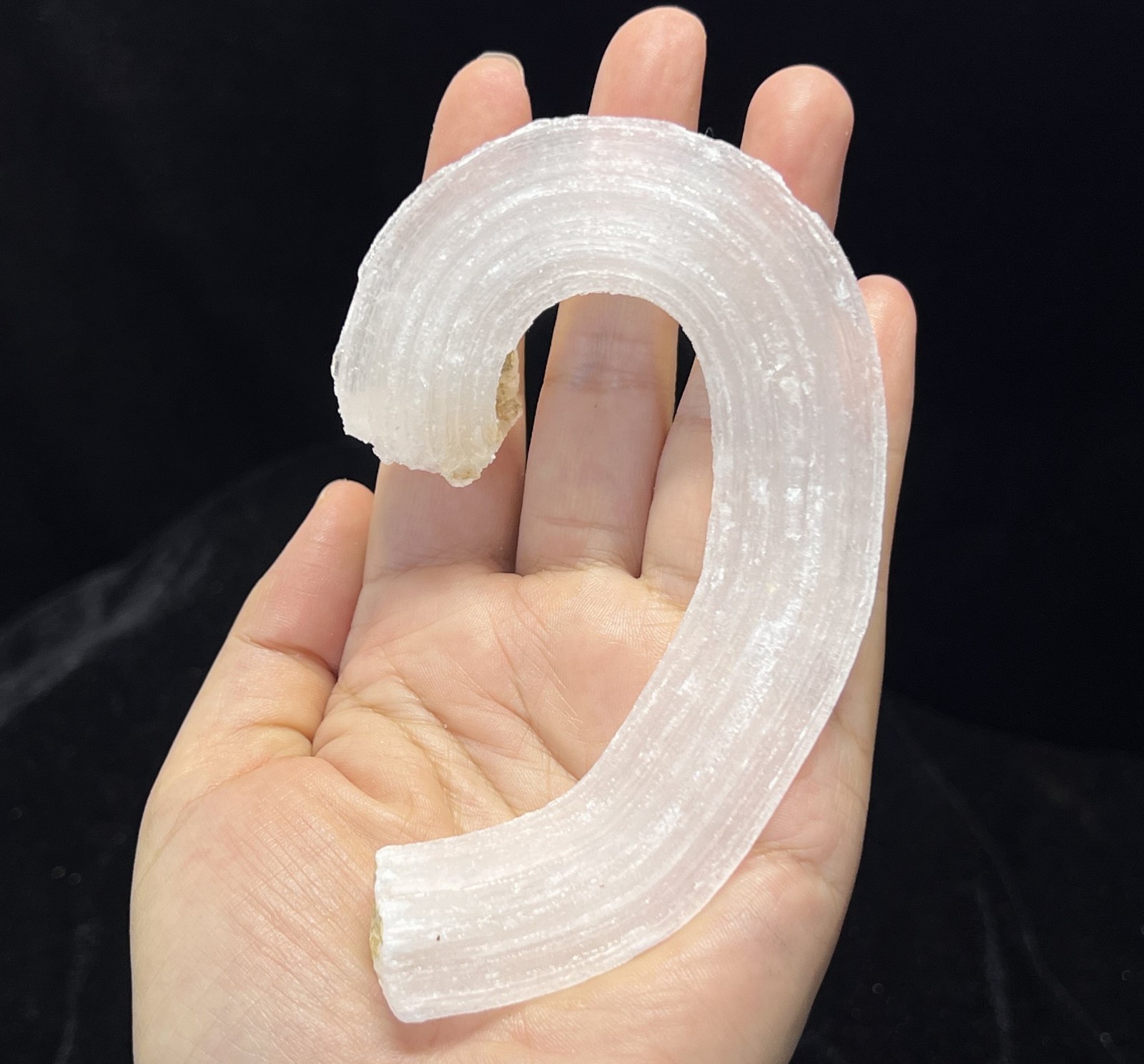 115mm LARGE sparkling ‘Ram’s Horn’ shape Selenite (Gypsum), Natural Mineral