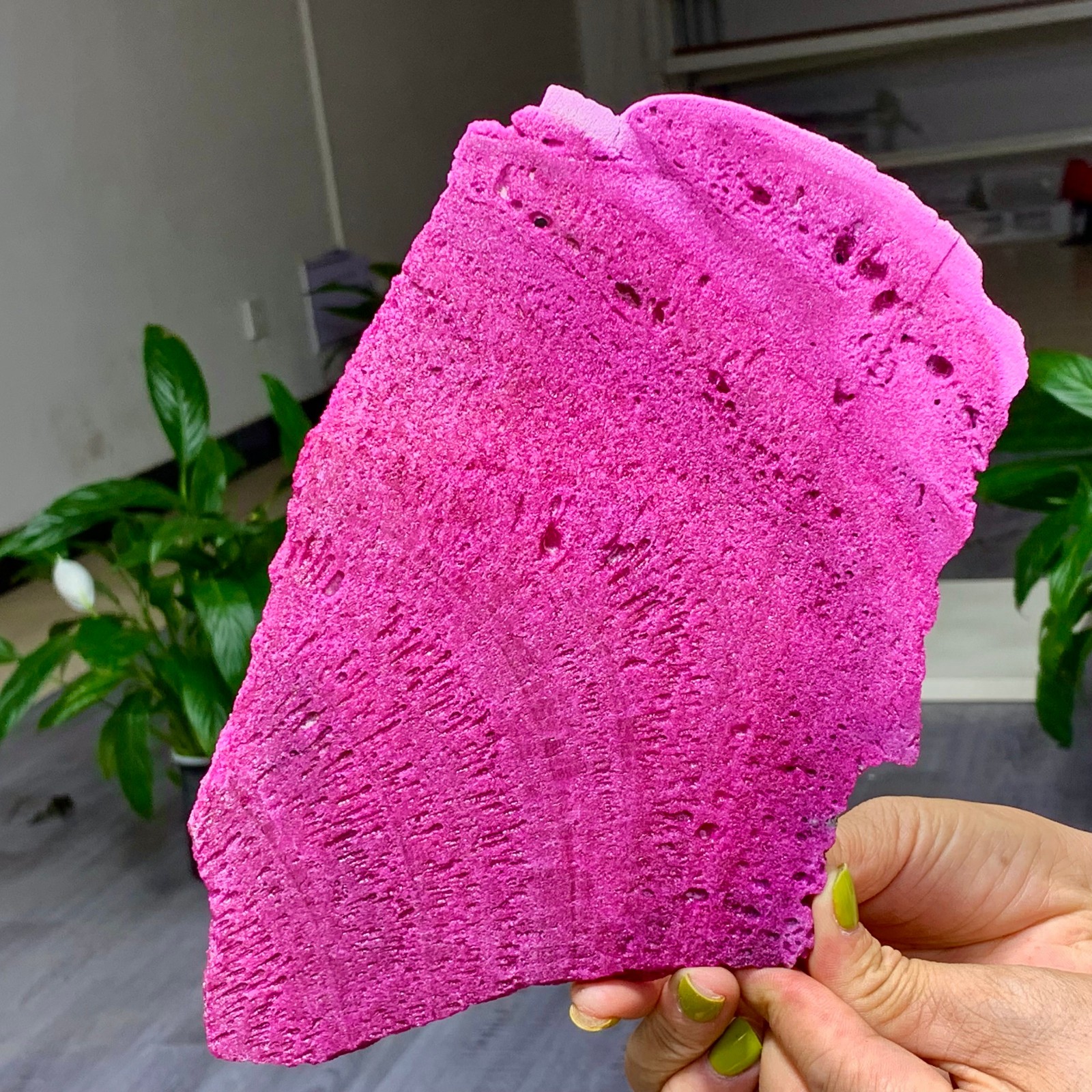 1.14LB Natural Rough Red Corundum Phlogo Pit Mineral Spirits Ruby Raw Gemstone