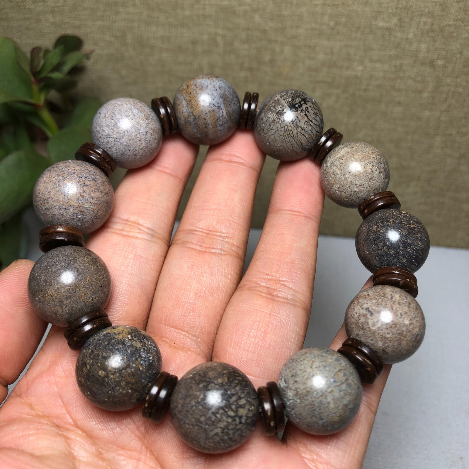 Top! Natural polished dinosaur bone bracelets specimen Madagascar 18mm A1005