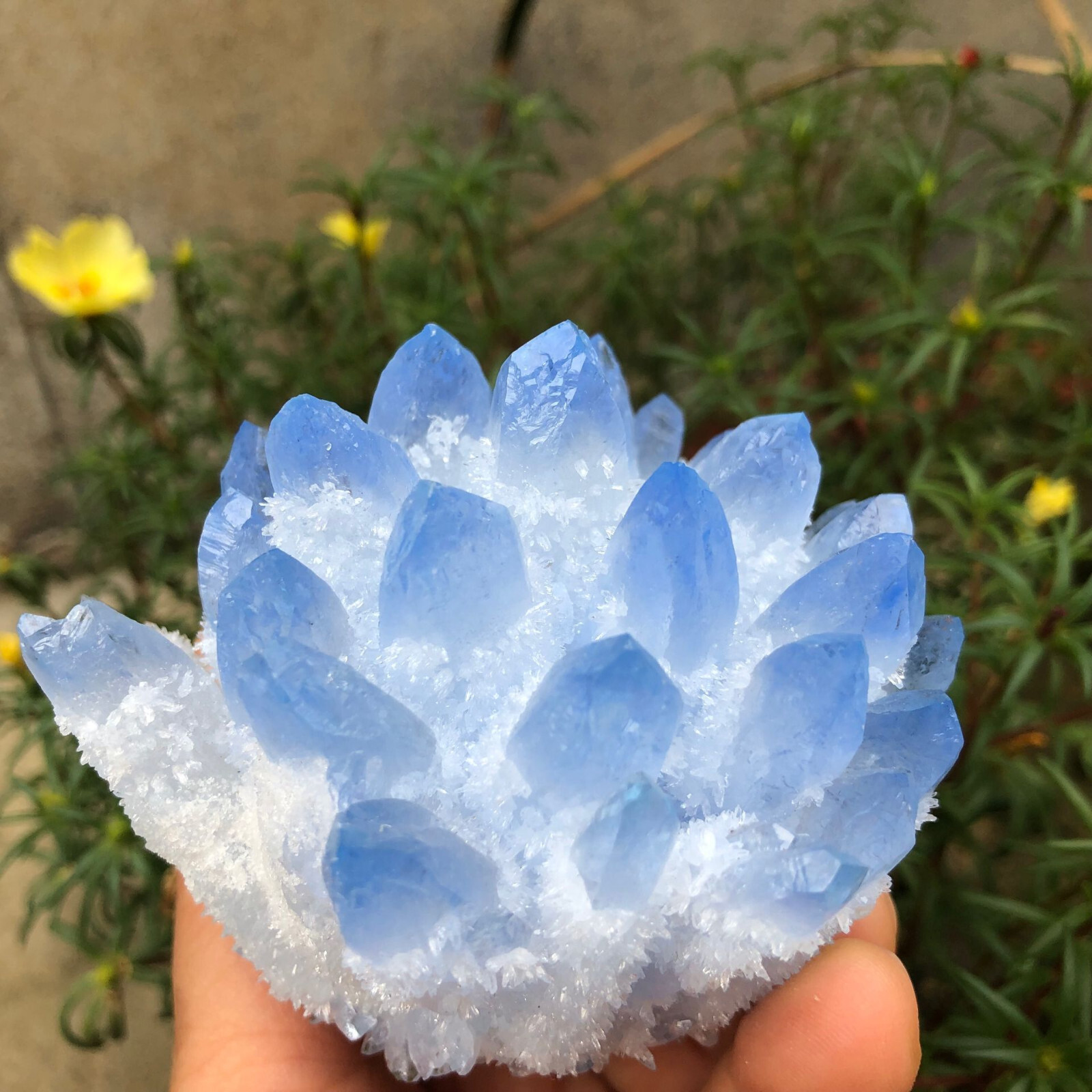 300g+ New Find Blue Phantom Quartz Crystal Cluster Mineral Specimen Healing Gift