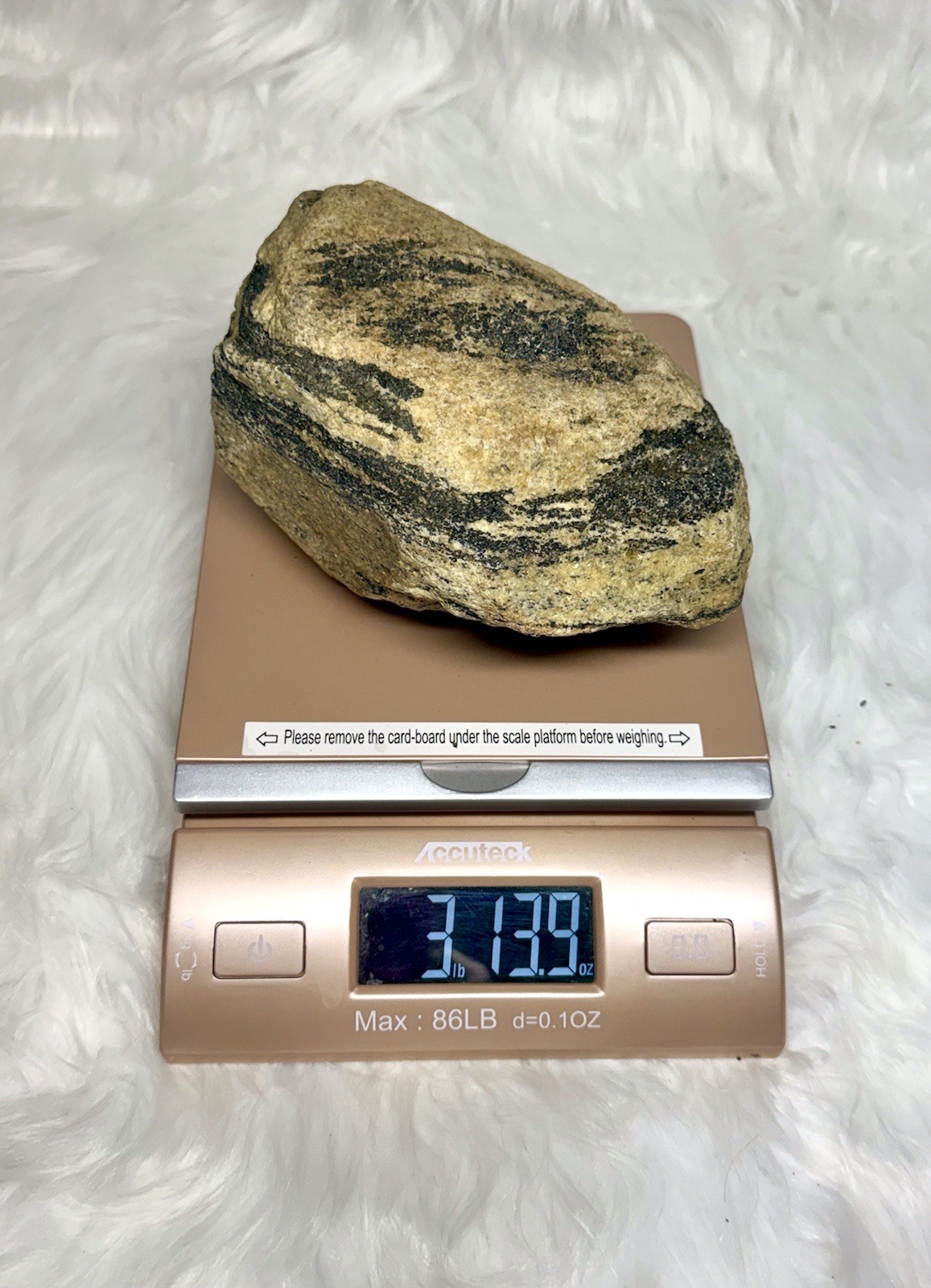 Natural Lake Michigan Rock Granite Large LOOK! 👀 3lb+ READ CAREFULLY