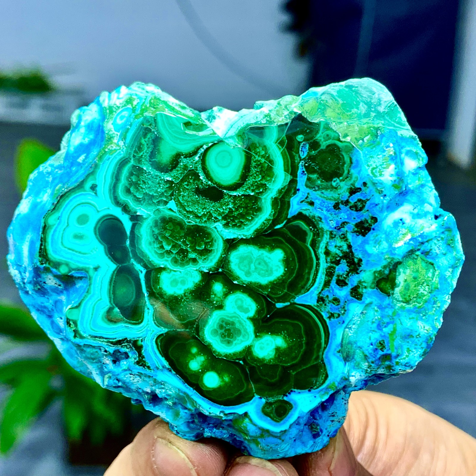 205G Natural Chrysocolla/Malachite transparent cluster rough mineral sample
