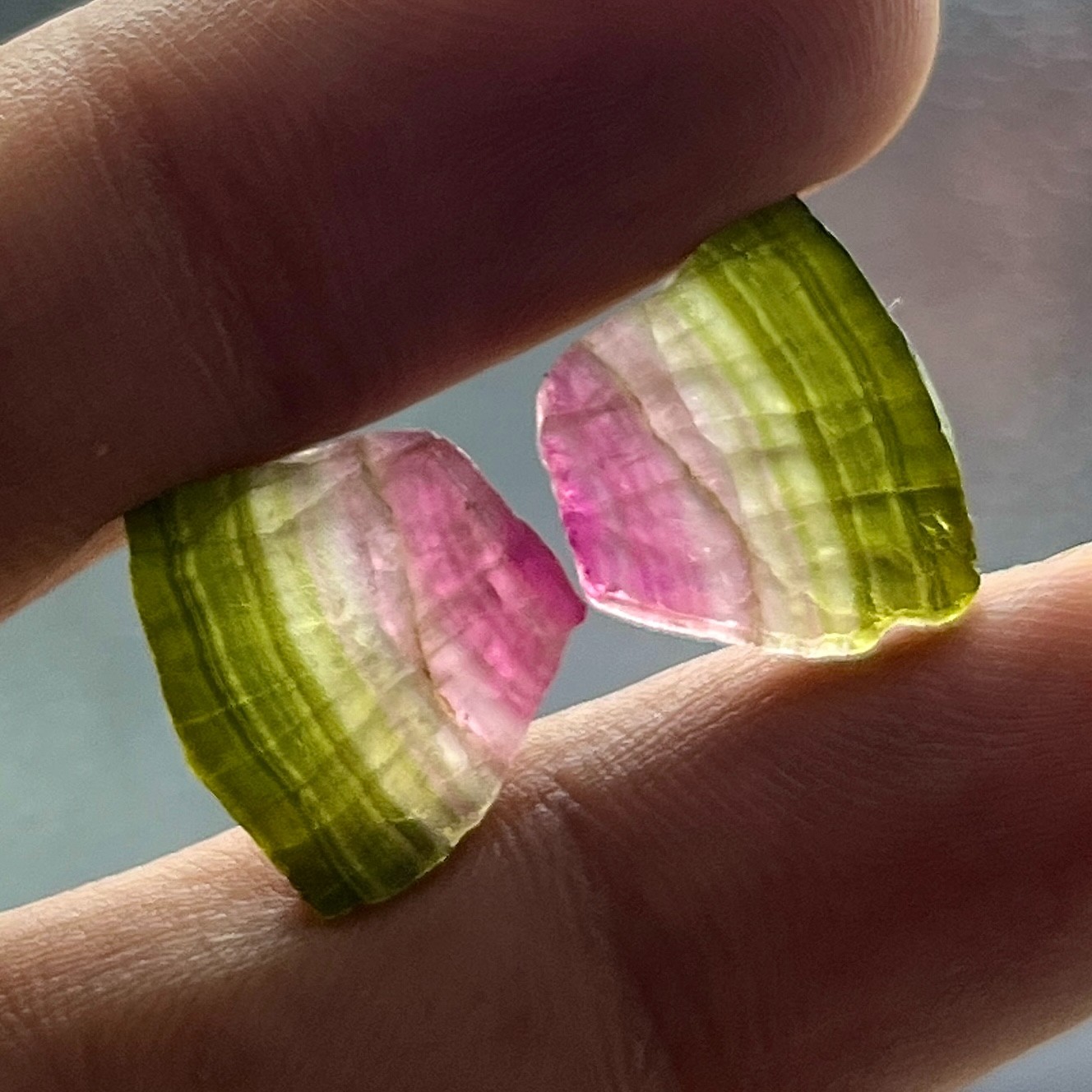 10 Cts Rare Watermelon Tourmaline Slices Pair, Natural Gemstone